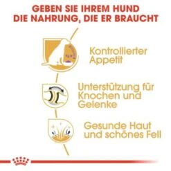 ROYAL CANIN Labrador Adult Sterilisiert 12 Kg 12 ROYAL CANIN Labrador Adult Sterilisiert 12 Kg -Tierbedarf Geschäft 318ba0ef082f19d7f189daa60ce58b5b82da72b0 0f8c00585e5d0a1ec6125a08e6f6194a30028a03