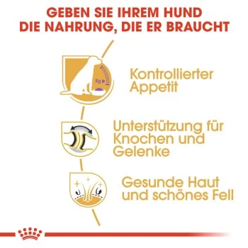 ROYAL CANIN Labrador Adult Sterilisiert 12 Kg 5 ROYAL CANIN Labrador Adult Sterilisiert 12 Kg – Bild 3