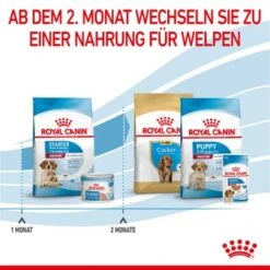ROYAL CANIN Medium Starter 15 Kg -Tierbedarf Geschäft 323c948a6eab33359f3e5764f6ff7e36767b7df3 63bcd70a2b109cfaa9c260c3910751bd53fef802