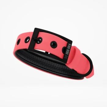 THE DOG IDEA Biothane Halsband Coral Koralle M 3 THE DOG IDEA Biothane Halsband Coral Koralle M