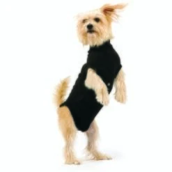 Trovet Hundebody Recovery Suit Schwarz XXS -Tierbedarf Geschäft 32b188fe2b1d79c98c3d705ed0768a2dea55c852 c9c58232ac385af15a91fd1318f8583c048209d5
