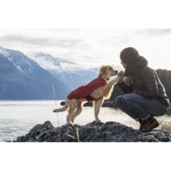 Ruffwear Overcoat™ Hundejacke Rot M -Tierbedarf Geschäft 32b81091541e421621a809b75c62062d90eca320 1369977 de DE e6611e4bd31113b7d836455a75813df21f681f8eLLYoOv