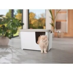 MORE FOR Katzentoilette XXL Titan -Tierbedarf Geschäft 331a65ecbdbda6a54304894f23caf93293414f9a 41a7dcb3b92b8da7531785b268f381c1b25bbf04