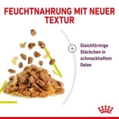 ROYAL CANIN SENSORY Smell In Gelee Für Wählerische Katzen 12x85g 11 ROYAL CANIN SENSORY Smell In Gelee Für Wählerische Katzen 12x85g -Tierbedarf Geschäft 3469e2789c9f64bff26f87bbac39ba0a4ed440ea 45f33cf5dbb691236fc67f7b11a07842abb35bb4