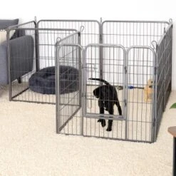 Lionto Freilaufgehege Welpen Gitterfreil 60 Cm, 1 Cm, 80 Cm -Tierbedarf Geschäft 36b609c51e916046b581efda5ea6811e2c829bd8 1498016 de DE 794da90c9076c5cc9e9eae67a633691d7c219be8EE6Vlo