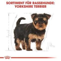 ROYAL CANIN Yorkshire Terrier Puppy 1,5 Kg -Tierbedarf Geschäft 3810ae0a6a04bd78bbca7a7651da4efb954d4b3e 3e3986d33b213064868087e6e9dec0e6991e12be