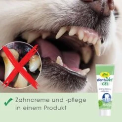 DentaVet Gel 25ml 8 DentaVet Gel 25ml -Tierbedarf Geschäft 3b24fe5815d0b8f3ef5c6951038081ed4f7726c1 1667843 de DE 4ce29d2ba67554731965330067a7d46dd701a488PqT9fx