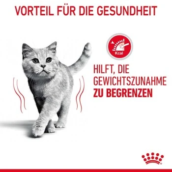 ROYAL CANIN Light Weight Care 12x85g In Soße 6 ROYAL CANIN Light Weight Care 12x85g In Soße – Bild 4