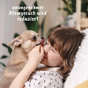 DentaVet Gel 25ml 6 DentaVet Gel 25ml – Bild 4