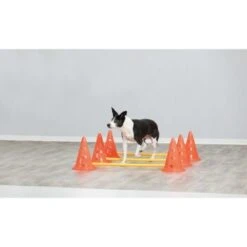 Trixie Dog Activity Hindernisse Ø23x30cm -Tierbedarf Geschäft 3deac15f582ad479ed22e5c84e054ac5f037fdc8 1287032 de DE Trixie Hindernisse wb 2