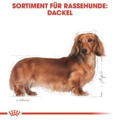 ROYAL CANIN Dachshund Adult Mousse 12x85g -Tierbedarf Geschäft 3e00f9d2a998881197cc4978220ea135ca47c0c1 eeff6dbc0deb1a69304ddefd8bd28703b98639ef