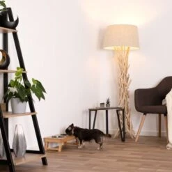 Lionto Hundenapf Aus Bambus, Futterstation -Tierbedarf Geschäft 3e1ee2f4ec2eacfbbe1d3eb244d093e05ca5d89b 1665995 de DE edef5fb40136bbe9c273266416414ea2a5636628VdoS8l