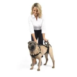PetSafe CareLift Hebegeschirr Für Hunde Beige/ Schwarz M -Tierbedarf Geschäft 3e9e0cb26f5dcbf06323f0d4cd66351348dd5dde 1481153 de DE a6f649d5f5d8e88fc5a27e7685197febe1fe24f77QaBT4