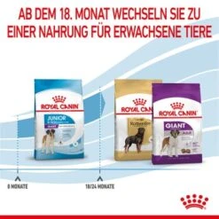 ROYAL CANIN Giant Junior 15 Kg -Tierbedarf Geschäft 3f0f320cf0514c60e2d60f64a366dd987cd444ca 3182550707077 7