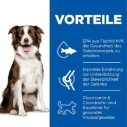 Hill's Science Plan Healthy Mobility Medium Breed Adult 1+ Mit Huhn 14 Kg -Tierbedarf Geschäft 3fcaebf69525b009c44756b18933a850b2f3883d 52742026138 4