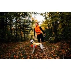 Ruffwear Lumenglow™ High-Vis Hundejacke Orange XL -Tierbedarf Geschäft 40663366cb362acd2f222531a6c489c5dd028940 1378153 de DE 6ea16c8681e07ff1404b1bde8c0b1b4ddb6fa478XOeqLy