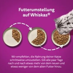 Whiskas Tasty Mix Multipack Chef's Choice In Sauce 40 X 85g -Tierbedarf Geschäft 409f4c41204a67499d9e04ea40f469165fcf23ac 1410720 de DE Whiskas 4