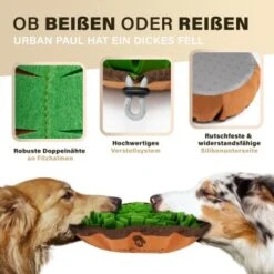 URBAN PAUL Schnüffelteppich - Grün -Tierbedarf Geschäft 41b69e30147446053fcf1ef3a5c0ef4e586c3637 1477263 de DE f3d4dc055420076a5d6665754e59033e977ead92pVbA3s