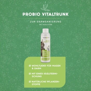 MediCat Probio Vitaldrunk 6 MediCat Probio Vitaldrunk – Bild 4