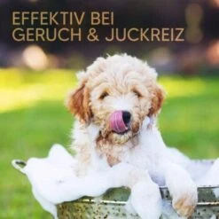 Pawlie's Welpenshampoo -Tierbedarf Geschäft 42f9c58257fb2002e5c33c2d81bd829c9adeb1cc 1626204 de DE 8b17d3990cf88ea437c76c60b6848183bc9636a5a44ihJ