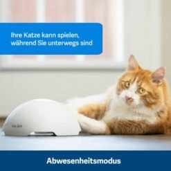 PetSafe Automatisches Katzenspielzeug Fox Den -Tierbedarf Geschäft 436796eddc653fbc5ba6c19e00138d58f340ef52 1351524 de DE 2c07966cfa5d20e79e732d930dea56115af33e3axxjuix