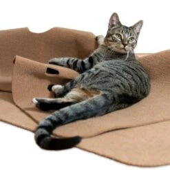 Canadian Cat Company Spielteppich Für Katzen Braun 12 Canadian Cat Company Spielteppich Für Katzen Braun -Tierbedarf Geschäft 446d45749f5e58cb5a7dbc00eb3558dbe40784fe 1394213 de DE 80770b9625226d955903498b97e7018485822aeeDB3L2u