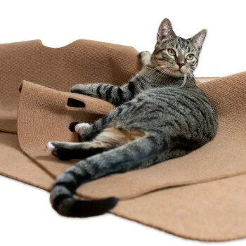 Canadian Cat Company Spielteppich Für Katzen Braun 6 Canadian Cat Company Spielteppich Für Katzen Braun – Bild 4