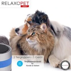 RelaxoPet EASY Tierentspannungs-Trainer Für Hunde Und Katzen 13 RelaxoPet EASY Tierentspannungs-Trainer Für Hunde Und Katzen -Tierbedarf Geschäft 4476be157af12df554867b6e93f144b9ceb36a4a 1396143 de DE d434b17460c4f49edf8862d0c0ea4bbeca4221e3ODM7na