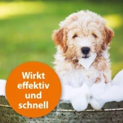 Ardap Anti Zecken Shampoo Für Hunde 250ml -Tierbedarf Geschäft 45234aab493187b4f025c9c1611ba91401852a61 1289723 de DE 011c29b51870fd299b578444e9341eb4fefc30b304XMpl