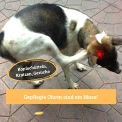 BeG Buddy Ohrreiniger Für Hunde, Juckreiz, Verschmutzung & Ohrmilben, Ohrenpflege Hund -Tierbedarf Geschäft 45e73f73ac19eaa8dd1e69e3850d2f4f61356cf6 1500787 de DE 1215a7c381f6b3bd568fa3ac7220c920b8949602HaCiPm