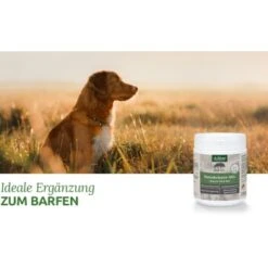 Aniforte BARF-Line Naturkräuter Mix 250g -Tierbedarf Geschäft 464ddda8fc38a6e027c6cafe7fde53f2ad109df8 1477973 de DE 4e7a685a7dd87aa68a02cfea6763367892d36c13HaZ7EK