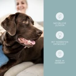 Mammaly Relax Time 110g -Tierbedarf Geschäft 47b0514aa339d6921a137cd64a4de801a1989a4a 1472888 3