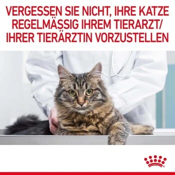ROYAL CANIN Digestive Care 10 Kg 13 ROYAL CANIN Digestive Care 10 Kg – Bild 11