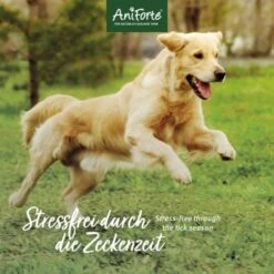 Aniforte Zecken Schild (bis 10kg) Für Kleine Hunde 60 Kapseln 12 Aniforte Zecken Schild (bis 10kg) Für Kleine Hunde 60 Kapseln -Tierbedarf Geschäft 49e07229986c01ad0e985f8070fe8262af2296ea 1332831 de DE 6b0465714e7043aa512f07a2e3a3c8a3a07d4c02s07yBZ
