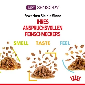 ROYAL CANIN SENSORY Smell In Gelee Für Wählerische Katzen 12x85g 8 ROYAL CANIN SENSORY Smell In Gelee Für Wählerische Katzen 12x85g – Bild 6