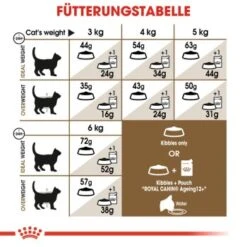 ROYAL CANIN Ageing 12+ Sterilised 4 Kg -Tierbedarf Geschäft 4ce8eb38a167b532004afcb21e5f40042d29ae5a 1201903453cc527013bd50d4537b9f7016918cfe