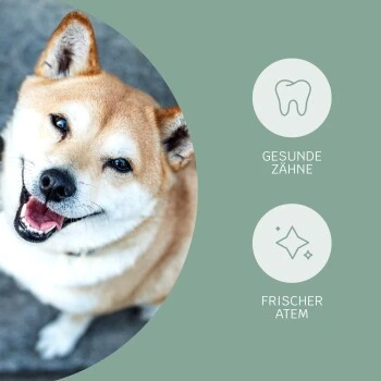 Mammaly Fresh Smile 110g 9 Mammaly Fresh Smile 110g – Bild 7