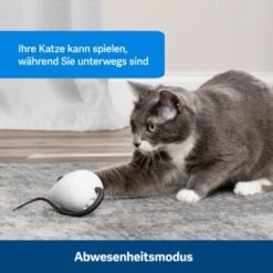 PetSafe Automatisches Katzenspielzeug RoloRat -Tierbedarf Geschäft 4e48313abe110e77b48862456b3054c8cbc622dd 1351522 de DE cc35ab35cec54291341f643ff079f60e72f56895BvuHXl