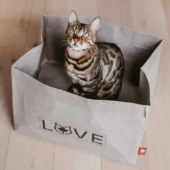 Canadian Cat Company Katzenbett Winnipeg -Tierbedarf Geschäft 4f163c23f3c00759be25633fb22100eb50b10eed 1360995 de DE e27163ea0c21fd571c9e22268b69a4d1b68affe5UBt2yy