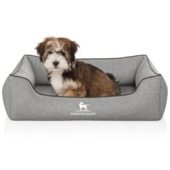 Knuffelwuff Orthopädisches Hundebett Amelie Aus Velours Mit Handwebcharakter Grau M-L -Tierbedarf Geschäft 51bc651256f42fcb08a597bbca1431b778b9dc7f 1411829 de DE b3bf67a8530e0f79acc3c0e7e4dd76d3e8e166d14nlbOt