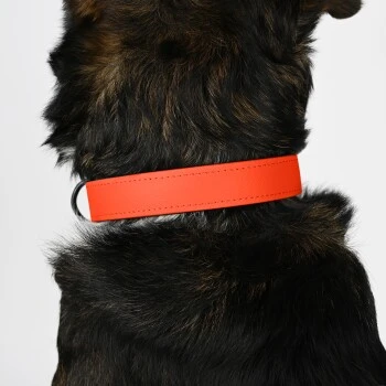 THE DOG IDEA Biothane Halsband Orange Neon Orange M 6 THE DOG IDEA Biothane Halsband Orange Neon Orange M – Bild 4