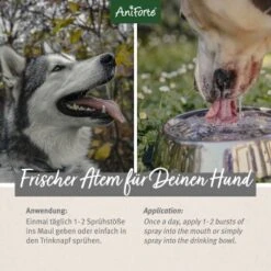 Aniforte Dentalspray Zahnpflege Spray 100ml -Tierbedarf Geschäft 5407327dc1ff8b3c62918c78a261300c797ac1a5 1439278 de DE d65d8e1ebeada7690aae8d6a4c6fc70cb3dbb3e9igaN3s