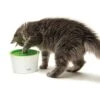 Catit Senses 2.0 Multi Feeder -Tierbedarf Geschäft 547bd9596ba316af5f1293adb362a6f414f6918a c99ffce58b5cdbc39c3da5eb49060cda70e248ed