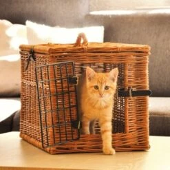 Aumüller Katzenhöhle Eckig -Tierbedarf Geschäft 55450489d235d9ce83ff96cc8b4e3c05d5f9850a a4c4ea7cad20b9a0abc8b1ae89e0fbac9d4fe21f