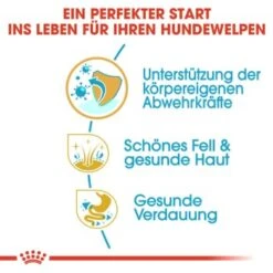 ROYAL CANIN Shih Tzu Puppy 1,5kg 16 ROYAL CANIN Shih Tzu Puppy 1,5kg -Tierbedarf Geschäft 56d85e3b7a854f0c3c469e43d2c3c37f7c39b9f9 bd7c3ec6924c08deee4e224cb6dc47b8888a62ab