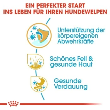 ROYAL CANIN Shih Tzu Puppy 1,5kg 9 ROYAL CANIN Shih Tzu Puppy 1,5kg – Bild 7