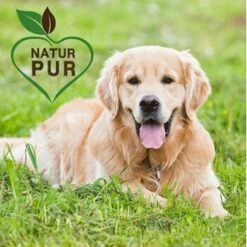 Fit-Crock Classic Lamm Maxi -Tierbedarf Geschäft 572aa89bc910e31893995e44aa05ef340fdfa24c 1687099 de DE f696ec27369198bd4394c88715b6b073e090c44aFcn83B