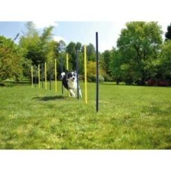 AniOne Agility Set -Tierbedarf Geschäft 57d0a4066068001e9199a8836922b7a9a69a9a13 5b90fc3282e3f36a151043eb4999c7a431fb4558