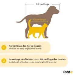 Lionto 2-in-1 Hundebett Hundekissen S -Tierbedarf Geschäft 581eb8f8135e9a7ef95a8db8ec83e2b39098ac67 1666112 de DE 79bb62026e2c63046ee7e1aa7503d3a810e3a9c6c1fzI1