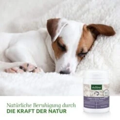 Aniforte Calm & Relax Kräuter 100g -Tierbedarf Geschäft 59d8edf488dbbfa5326d02c9bc480ebe764b40aa 1477975 de DE 8fdc0dbb13dd77bc918a019d832ea481c7670a35vrdXJ1